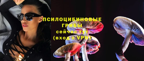 spice Абинск