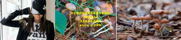 СК Абдулино