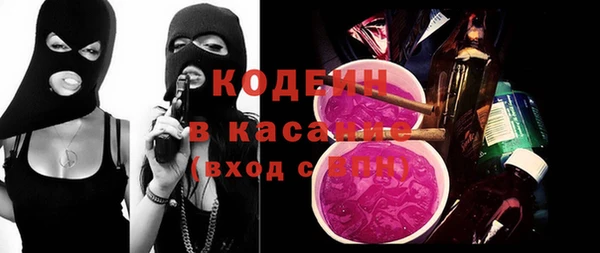хмурый Абаза