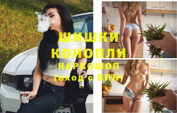 хмурый Абаза