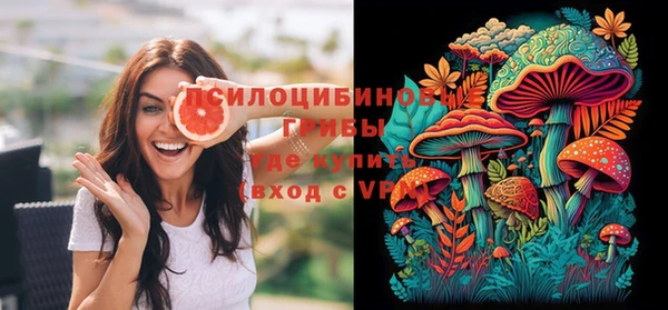 СК Абдулино