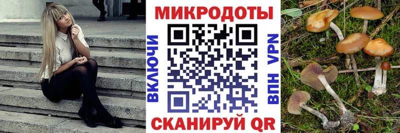 магазин продажи   Шахты  Галлюциногенные грибы Psilocybine cubensis 